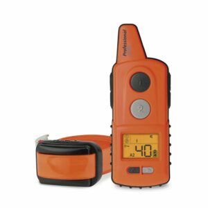 Dogtrace Professional 2000 Mini+ Naranja